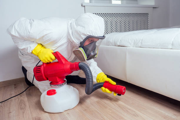 Best Bed Bug Extermination  in Seville, FL